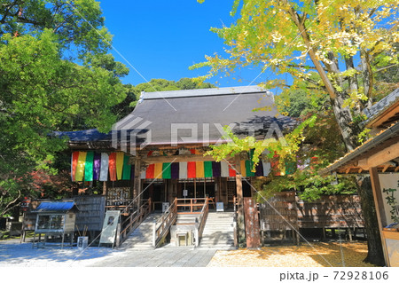 高知県 紅葉の五台山竹林寺 本堂の写真素材
