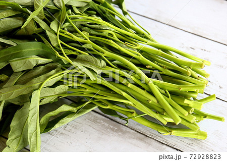 エンサイ(沖縄方言:ウンチェー) エンサイ(沖縄方言:ウンチェー) 72928823