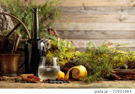 Gin-tonic cocktail with ice and a sprig of rosemary. 72931064