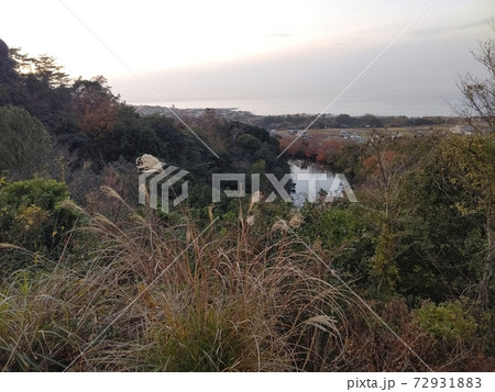 池のある風景 72931883