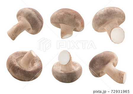 Fresh Shiitake mushrooms (Lentinula edodes)  isolated 72931965