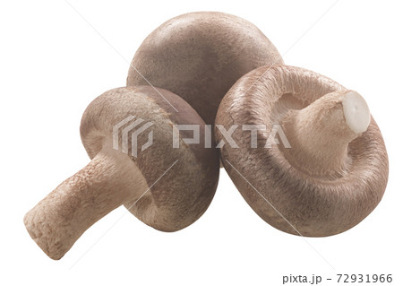 Fresh Shiitake mushrooms (Lentinula edodes)  isolated 72931966