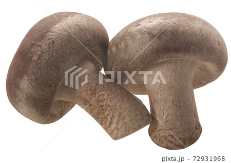 Fresh Shiitake mushrooms (Lentinula edodes) isolated 72931968