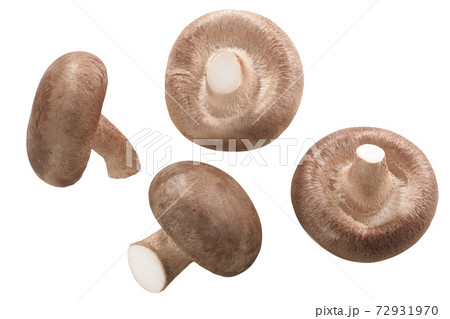 Fresh Shiitake mushrooms (Lentinula edodes) isolated, top  view 72931970