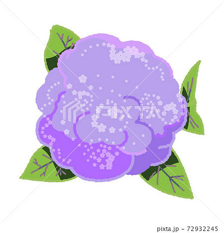 こんもりとしたカリフラワーを真上から見たイラスト			 72932245