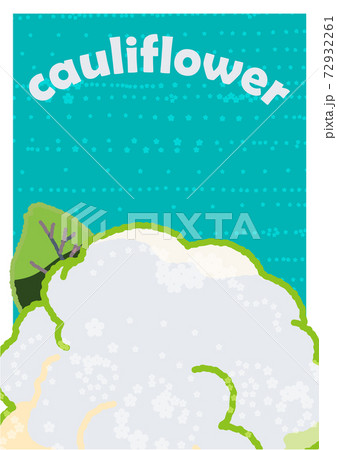 こんもりとしたカリフラワーを真上から見たイラスト		 72932261