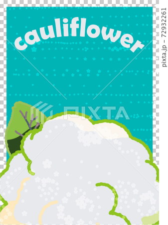 こんもりとしたカリフラワーを真上から見たイラスト		 72932261