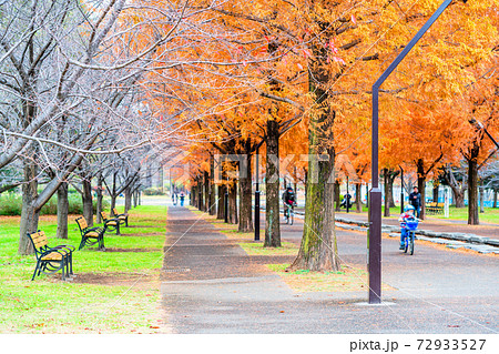 東京 秋の舎人公園 東京 秋の舎人公園 72933527