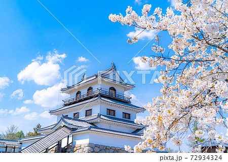 春の白石城と桜　【宮城県】 72934324