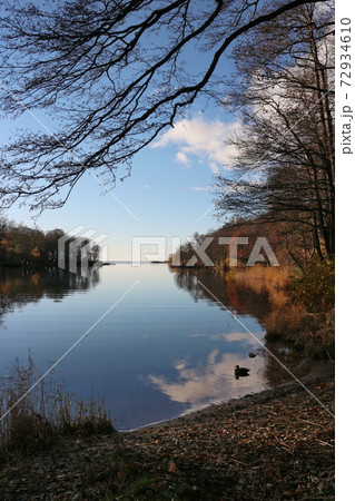 autumn landscape fallen leaves trees and clouds reflected in the water 72934610