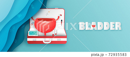 Human bladder and treatment papercut style. A concept hospital for wallpaper and web. Human bladder and treatment papercut style. A concept hospital for wallpaper and web. 72935583