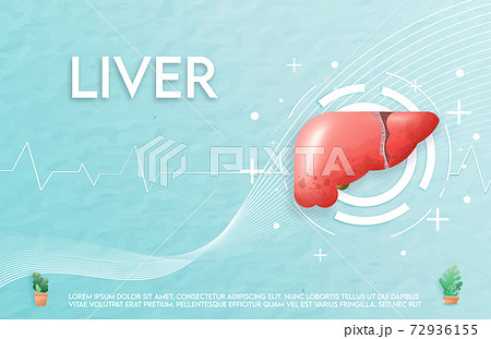 Human liver and treatment watercolor style. A concept hospital for wallpaper and web.	 72936155