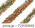 Herbs, berries, spices and nut shells isolated  72936848