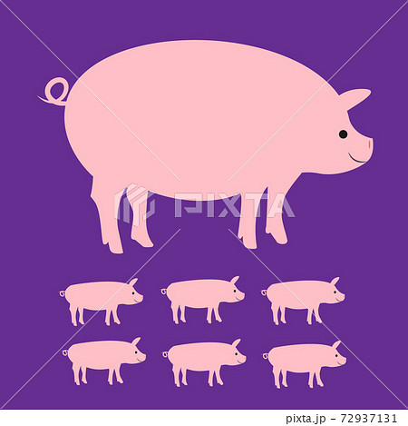 豚ママと子供達のおしゃれイラスト Pig Family Illustration In Purpleのイラスト素材