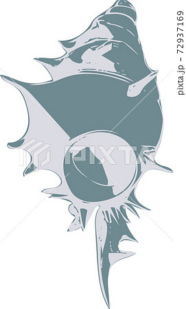 貝殻 貝殻 72937169