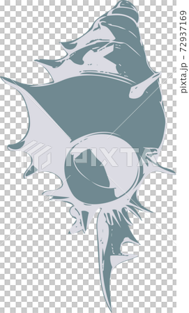 貝殻 貝殻 72937169