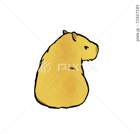 カピバラのイラスト1のイラスト素材