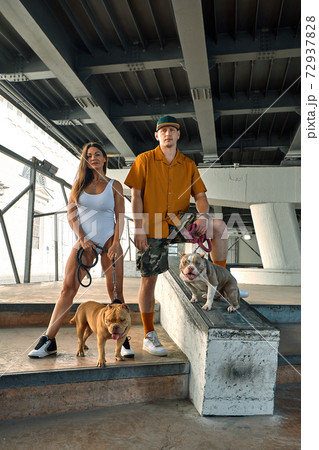 young stylishly dressed man and woman with an athletic figure with two american bully dogs under the bridge on city streets young stylishly dressed man and woman with an athletic figure with two american bully dogs under the bridge on city streets 72937828