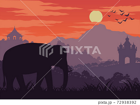 elephant symbol of Thailand and Laos walk in wood near landmark 72938392