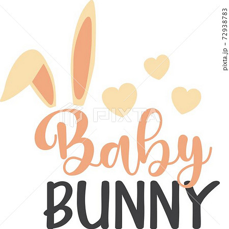 Baby bunny on the white background. Vector illustration Baby bunny on the white background. Vector illustration 72938783