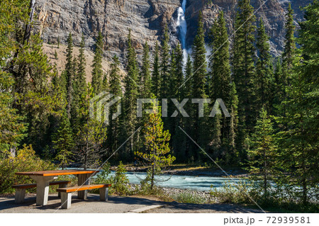 Wooden bench by the Yoho River over Takakkaw Falls Waterfall in a sunny summer day. Yoho National Park, Canadian Rockies, British Columbia, Canada. 72939581