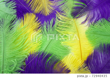 Mardi gras color feathers background. Nature patern 72940435
