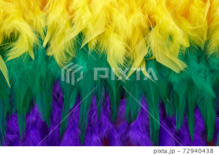 Mardi gras color feathers background. Nature patern Mardi gras color feathers background. Nature patern 72940438