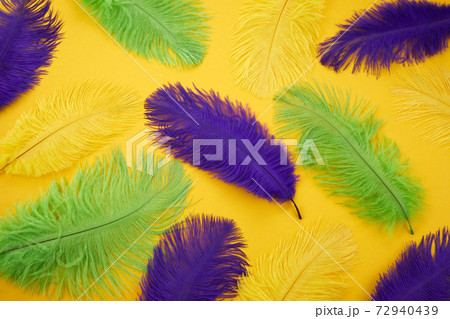 Mardi gras color feathers background. Nature patern Mardi gras color feathers background. Nature patern 72940439