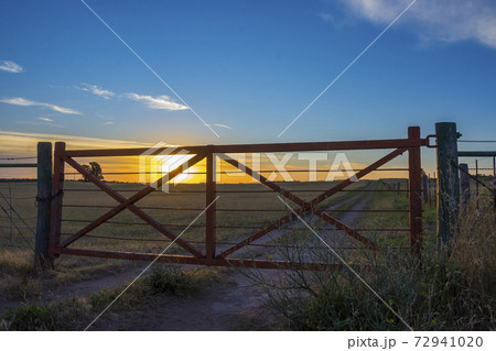 Pampas Landscape Pampas Landscape 72941020