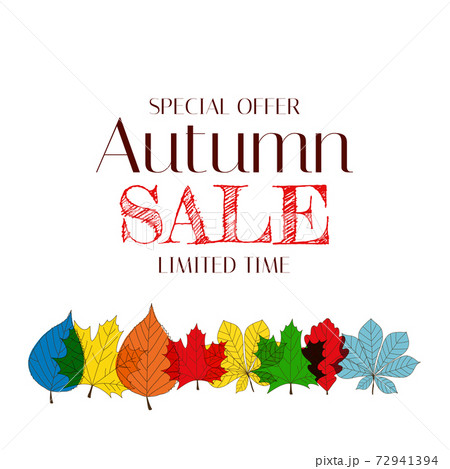 Autumn Sale Background Template with leaves. Special offer. Limited Time. Vector Illustration 72941394