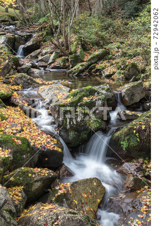 【飛騨高山 紅葉が美しい宇津江四十八滝をスローシャッターで撮る】 【飛騨高山 紅葉が美しい宇津江四十八滝をスローシャッターで撮る】 72942062