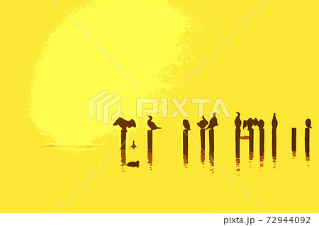 水鳥の戯れる霞ケ浦の初日の出 水鳥の戯れる霞ケ浦の初日の出 72944092