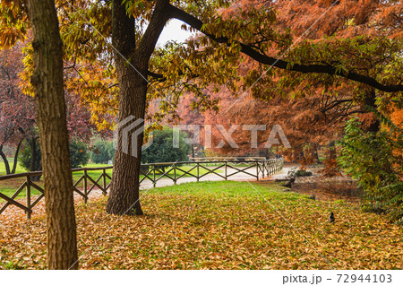 イタリア 秋のミラノのセンピオーネ公園の写真素材 [72944103] - PIXTA