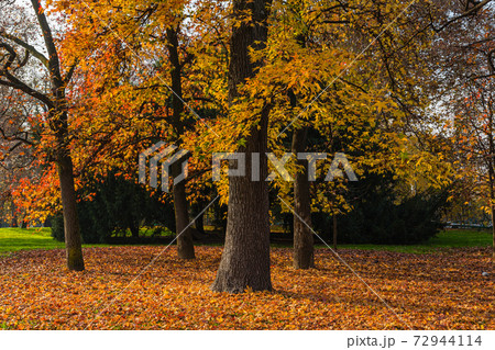イタリア　秋のミラノのセンピオーネ公園 72944114