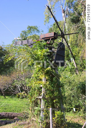 自然と一体化する風車 72945859