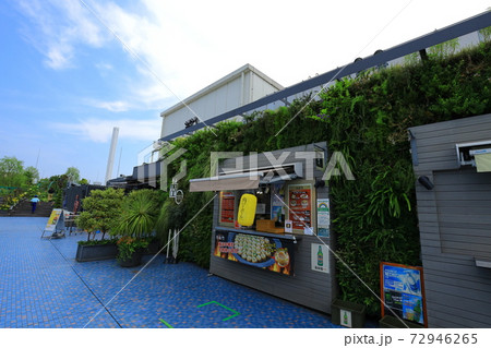 西武池袋空中庭園「食と緑の空中庭園」睡蓮の庭 西武池袋空中庭園「食と緑の空中庭園」睡蓮の庭 72946265