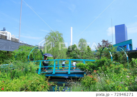 西武池袋空中庭園「食と緑の空中庭園」睡蓮の庭 72946271