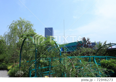 西武池袋空中庭園「食と緑の空中庭園」睡蓮の庭 72946273