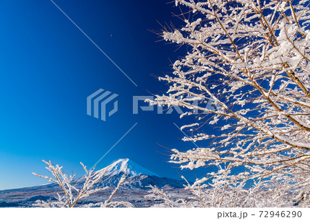 (山梨県)降雪した新倉山浅間公園から望む、富士山 (山梨県)降雪した新倉山浅間公園から望む、富士山 72946290