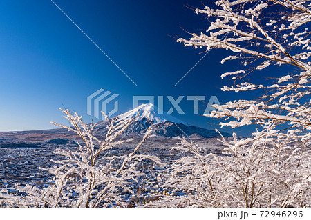 (山梨県)降雪した新倉山浅間公園から望む、富士山 (山梨県)降雪した新倉山浅間公園から望む、富士山 72946296