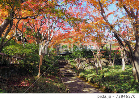 熱海　MOA美術館　紅葉 72946570