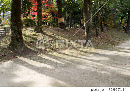 晩秋の広島縮景園の砂地に落とした影の景色 72947114