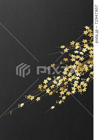 背景 テクスチャ 桜 花 高級感 和柄 金色 金屏風 金紙 金箔 年賀状 正月 和紙 壁紙のイラスト素材