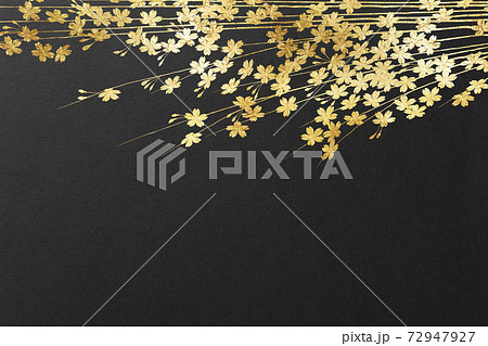 背景 テクスチャ 桜 花 高級感 和柄 金色 金屏風 金紙 金箔 年賀状 正月 和紙 壁紙のイラスト素材