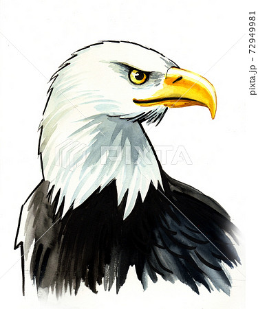 How to Draw a Golden Eagle in Pen and Ink - Online Art Lessons