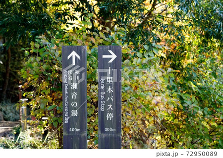 東京都秋川市秋川渓谷の紅葉 瀬音の湯 東京都秋川市秋川渓谷の紅葉 瀬音の湯 72950089