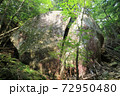 瑞牆山の桃太郎岩 72950480