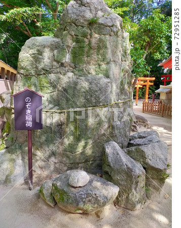 のぞき稲荷(住吉神社) のぞき稲荷(住吉神社) 72951285