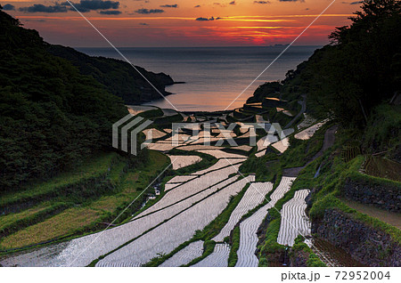 玄界灘の赤い夕日に照らされた佐賀県浜ノ浦棚田 72952004