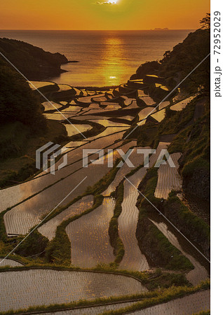 玄界灘の夕日に照らされた佐賀県浜ノ浦の棚田の写真素材